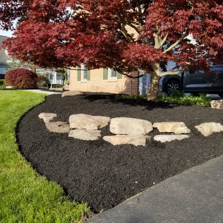 1 (98)